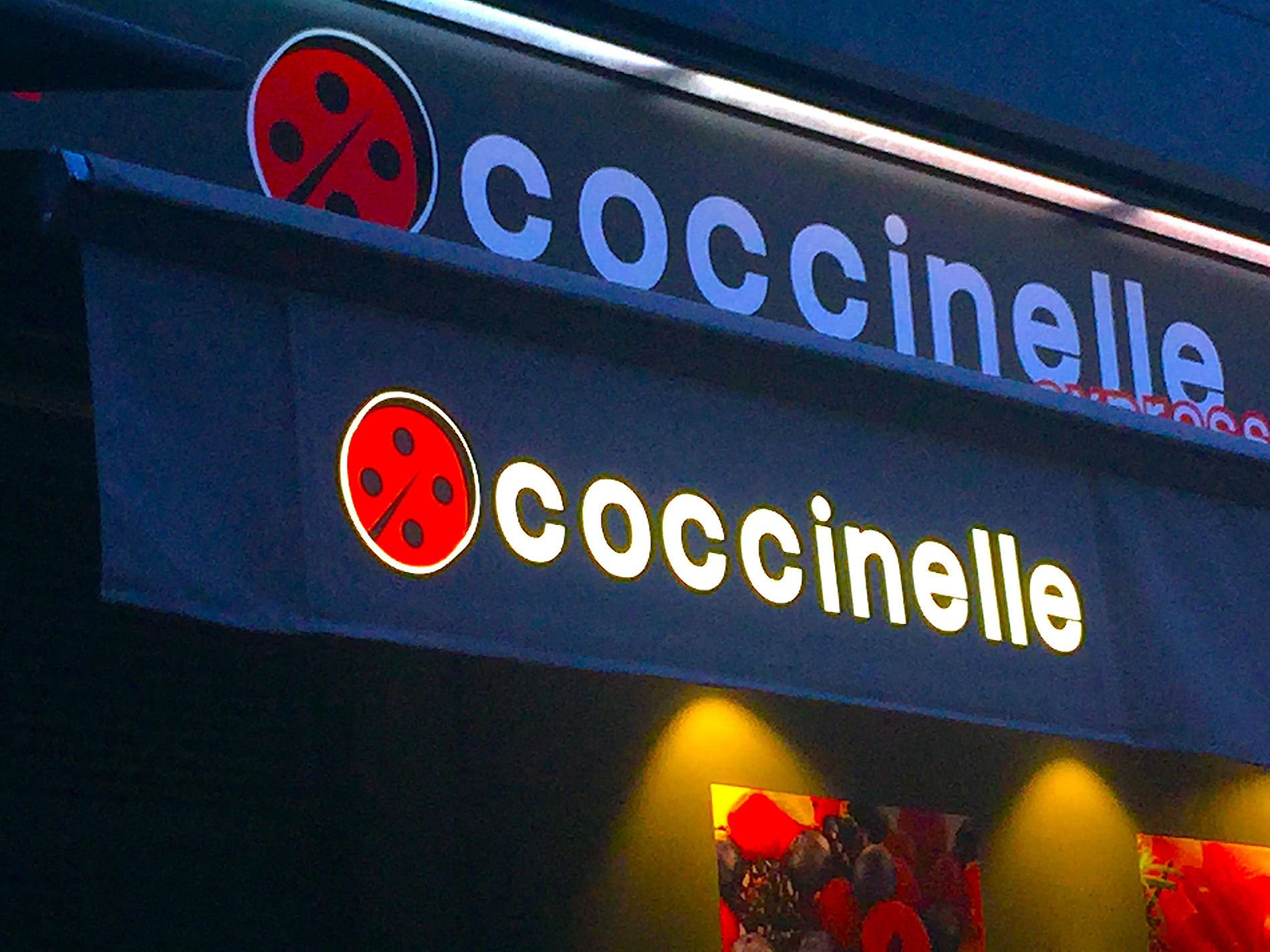 COCCINELLE